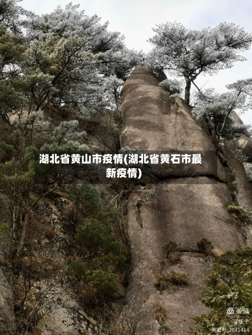 湖北省黄山市疫情(湖北省黄石市最新疫情)-第1张图片