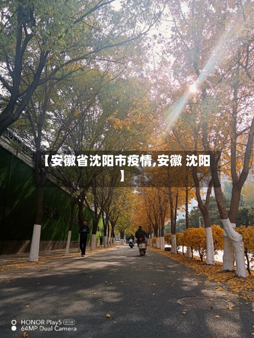 【安徽省沈阳市疫情,安徽 沈阳】-第2张图片