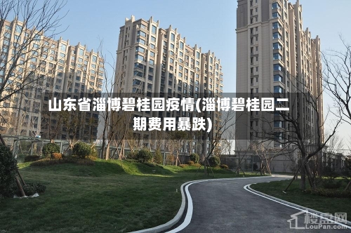 山东省淄博碧桂园疫情(淄博碧桂园二期费用暴跌)-第2张图片