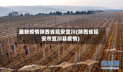 最新疫情陕西省延安宜川(陕西省延安市宜川县疫情)-第2张图片