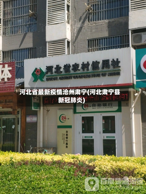 河北省最新疫情沧州肃宁(河北肃宁县新冠肺炎)-第1张图片