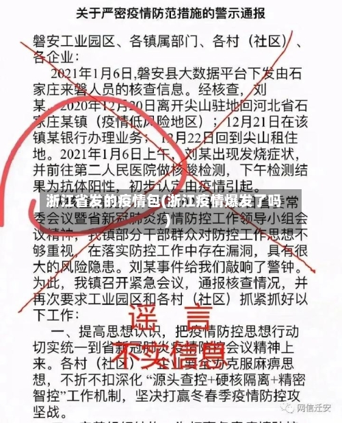 浙江省发的疫情包(浙江疫情爆发了吗)-第3张图片