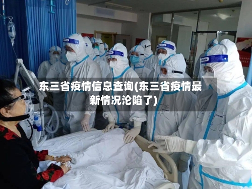 东三省疫情信息查询(东三省疫情最新情况沦陷了)-第2张图片
