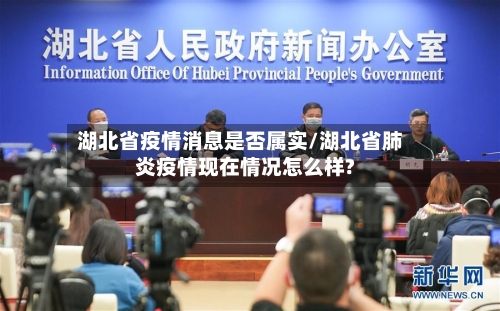 湖北省疫情消息是否属实/湖北省肺炎疫情现在情况怎么样?-第1张图片