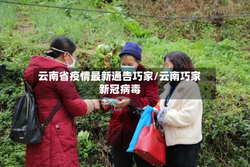 云南省疫情最新通告巧家/云南巧家新冠病毒-第1张图片