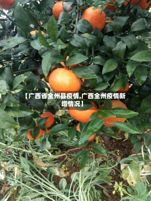 【广西省全州县疫情,广西全州疫情新增情况】-第1张图片