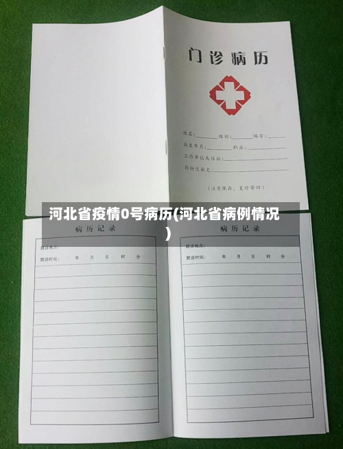 河北省疫情0号病历(河北省病例情况)-第2张图片