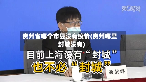 贵州省哪个市县没有疫情(贵州哪里封城没有)-第2张图片