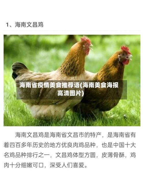 海南省疫情美食推荐语(海南美食海报高清图片)-第2张图片