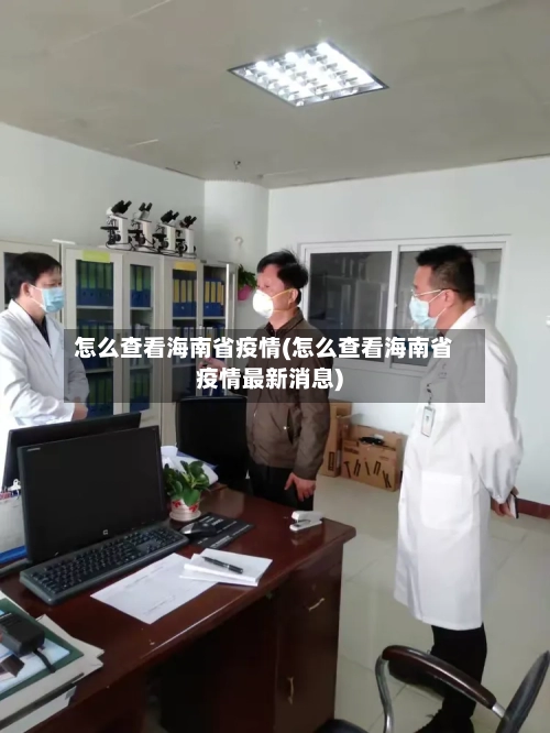 怎么查看海南省疫情(怎么查看海南省疫情最新消息)-第3张图片