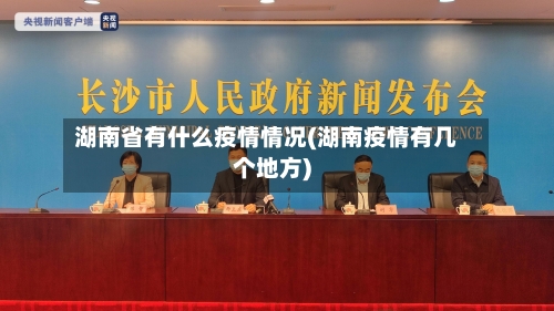 湖南省有什么疫情情况(湖南疫情有几个地方)-第2张图片
