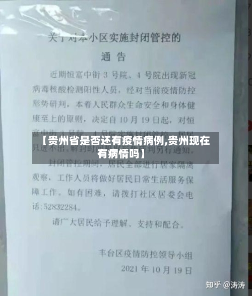 【贵州省是否还有疫情病例,贵州现在有病情吗】-第2张图片