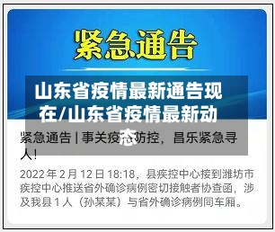 山东省疫情最新通告现在/山东省疫情最新动态-第3张图片