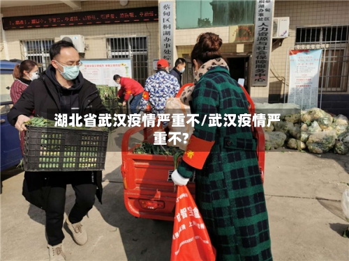 湖北省武汉疫情严重不/武汉疫情严重不?-第1张图片