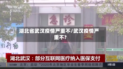 湖北省武汉疫情严重不/武汉疫情严重不?-第2张图片