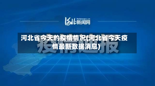 河北省今天的疫情情况(河北省今天疫情最新数据消息)-第2张图片