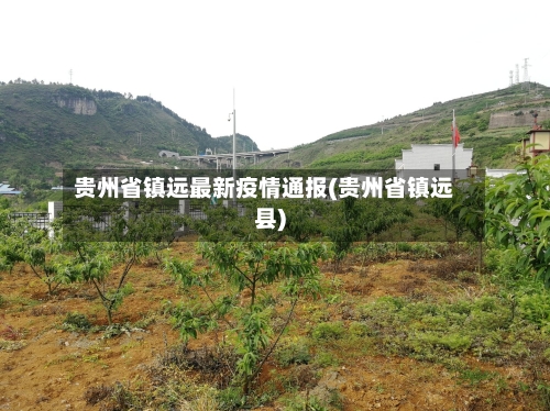 贵州省镇远最新疫情通报(贵州省镇远县)-第2张图片