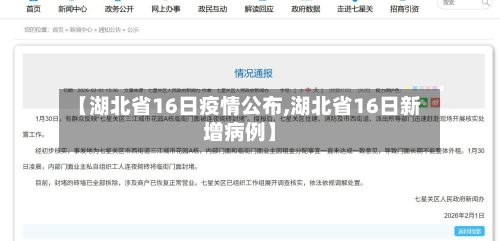 【湖北省16日疫情公布,湖北省16日新增病例】-第3张图片