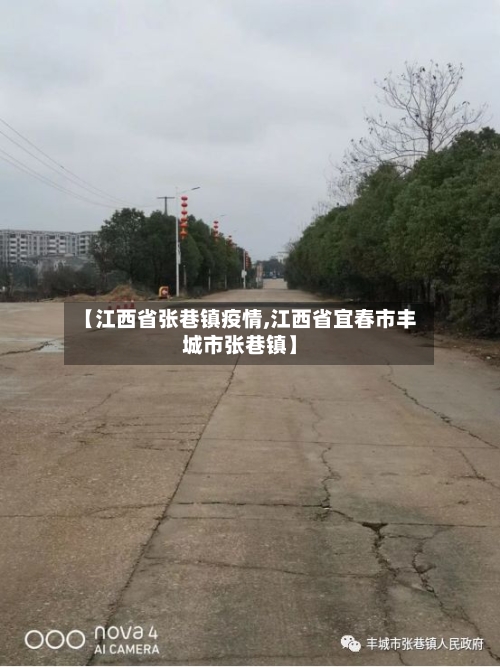【江西省张巷镇疫情,江西省宜春市丰城市张巷镇】-第2张图片