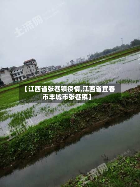 【江西省张巷镇疫情,江西省宜春市丰城市张巷镇】-第3张图片