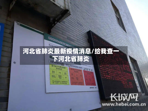 河北省肺炎最新疫情消息/给我查一下河北省肺炎-第2张图片