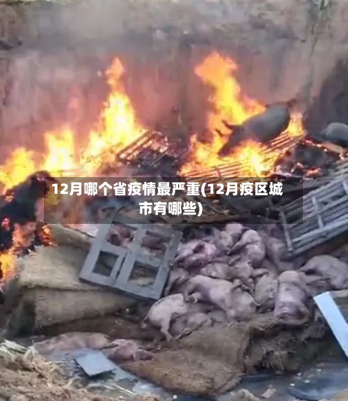 12月哪个省疫情最严重(12月疫区城市有哪些)-第2张图片