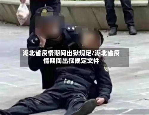 湖北省疫情期间出狱规定/湖北省疫情期间出狱规定文件-第2张图片