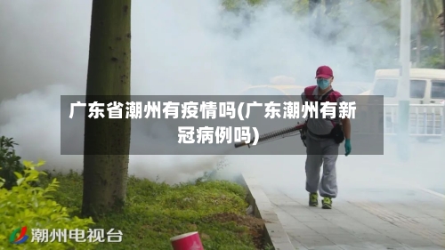 广东省潮州有疫情吗(广东潮州有新冠病例吗)-第3张图片