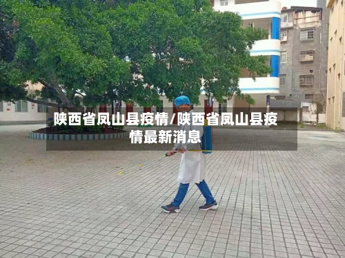 陕西省凤山县疫情/陕西省凤山县疫情最新消息-第3张图片