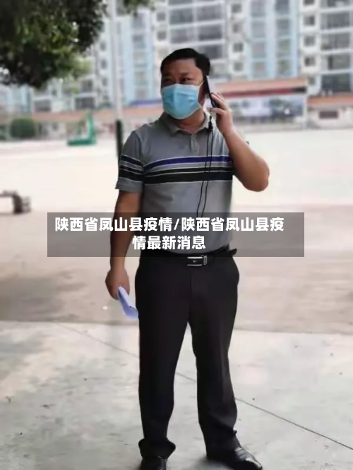 陕西省凤山县疫情/陕西省凤山县疫情最新消息-第1张图片