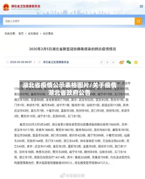 湖北省疫情公示表格图片/关于疫情湖北省政府公告-第2张图片