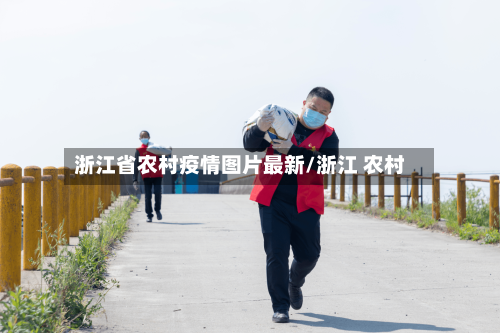 浙江省农村疫情图片最新/浙江 农村-第2张图片