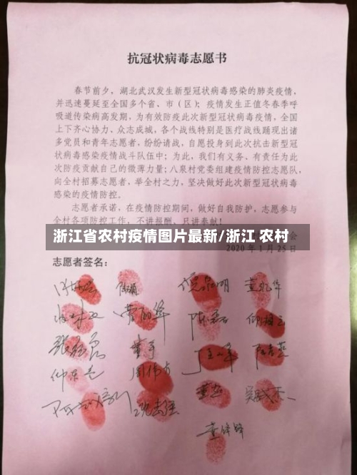 浙江省农村疫情图片最新/浙江 农村-第3张图片
