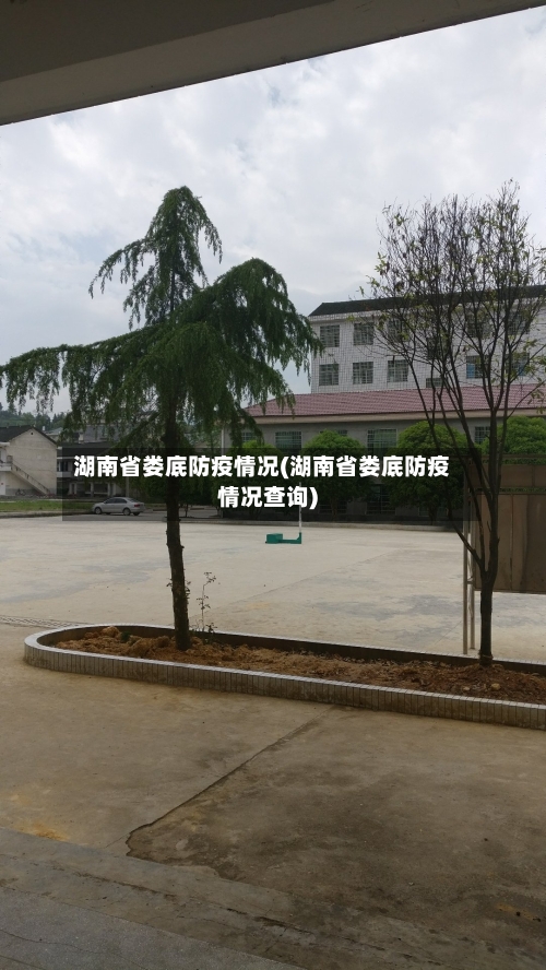 湖南省娄底防疫情况(湖南省娄底防疫情况查询)-第2张图片