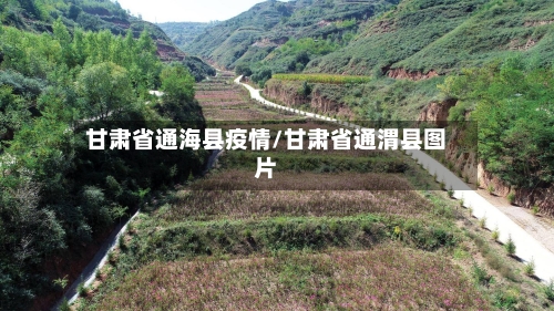 甘肃省通海县疫情/甘肃省通渭县图片-第1张图片