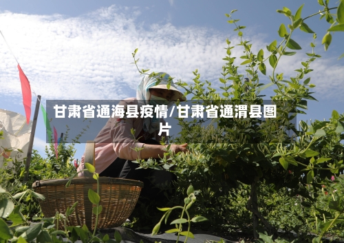 甘肃省通海县疫情/甘肃省通渭县图片-第2张图片