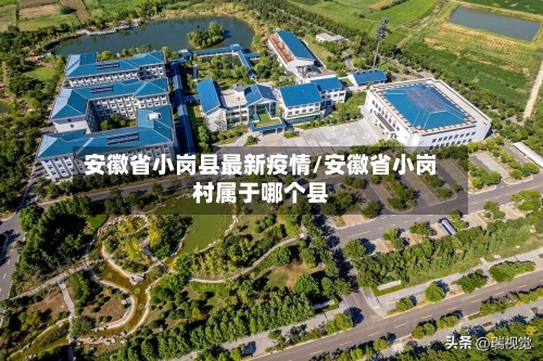 安徽省小岗县最新疫情/安徽省小岗村属于哪个县-第1张图片