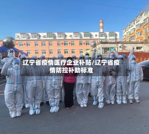 辽宁省疫情医疗企业补贴/辽宁省疫情防控补助标准-第2张图片