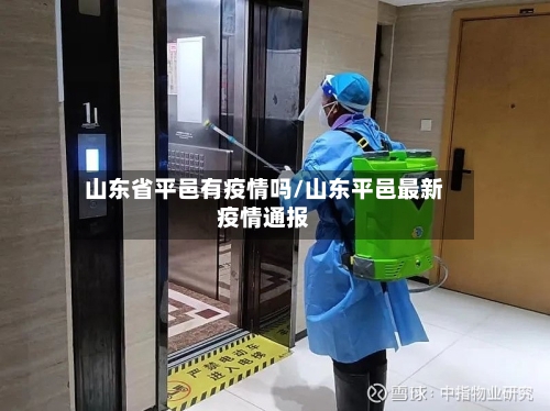 山东省平邑有疫情吗/山东平邑最新疫情通报-第1张图片