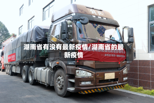 湖南省有没有最新疫情/湖南省的最新疫情-第2张图片