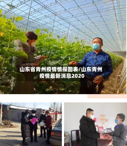 山东省青州疫情情报图表/山东青州疫情最新消息2020-第3张图片