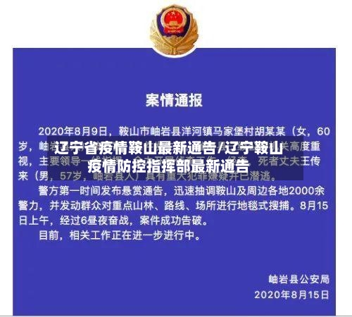 辽宁省疫情鞍山最新通告/辽宁鞍山疫情防控指挥部最新通告-第3张图片