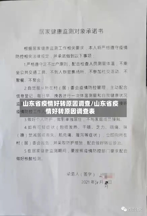 山东省疫情好转原因调查/山东省疫情好转原因调查表-第1张图片