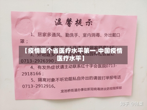 【疫情哪个省医疗水平第一,中国疫情医疗水平】-第1张图片