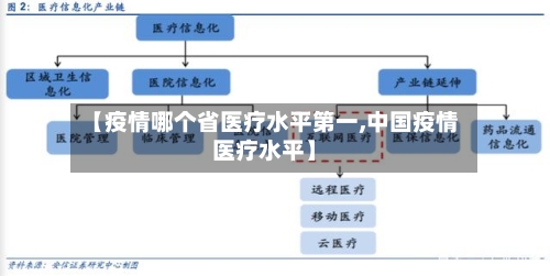 【疫情哪个省医疗水平第一,中国疫情医疗水平】-第3张图片