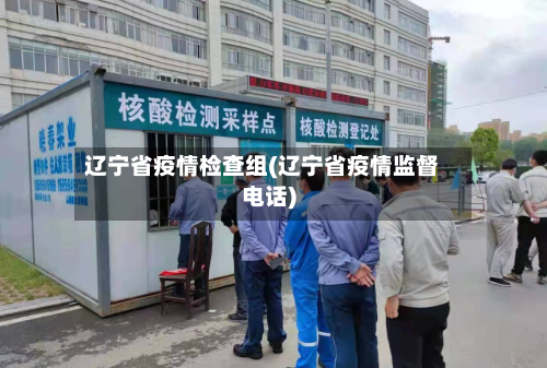 辽宁省疫情检查组(辽宁省疫情监督电话)-第2张图片