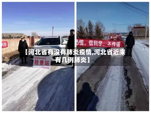 【河北省有没有肺炎疫情,河北省近来有几例肺炎】-第2张图片