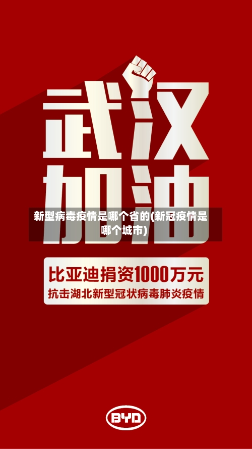 新型病毒疫情是哪个省的(新冠疫情是哪个城市)-第2张图片