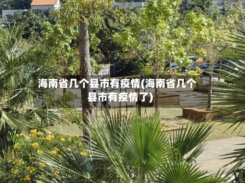 海南省几个县市有疫情(海南省几个县市有疫情了)-第1张图片