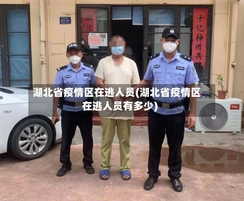 湖北省疫情区在逃人员(湖北省疫情区在逃人员有多少)-第3张图片